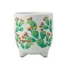 Royal Botanic Garden Arid Garden Planter Pot 14cm Prickly Pear -KITCHENWARE SHOP aw0435