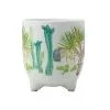 Royal Botanic Garden Arid Garden Planter Pot 14cm Dracaena -KITCHENWARE SHOP aw0436