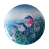 Birds Of Australia 10 Year Anniversary Plate 20cm Rose Robin -KITCHENWARE SHOP dx0662