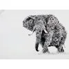 Marini Ferlazzo Tea Towel 50x70cm African Elephant -KITCHENWARE SHOP gx0018