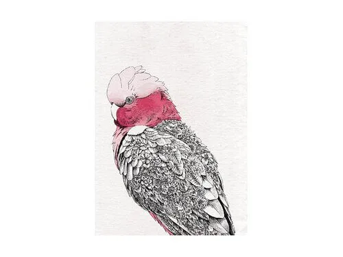 Marini Ferlazzo Birds Tea Towel 50x70cm Galah 3 Marini Ferlazzo Birds Tea Towel 50x70cm Galah