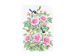 Royal Botanic Gardens Victoria Garden Friends Tea Towel 50x70cm Wren