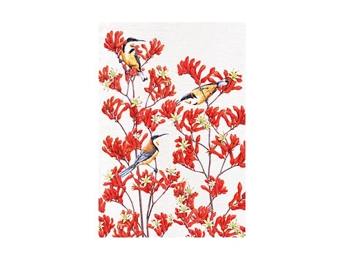 Royal Botanic Gardens Victoria Garden Friends Tea Towel 50x70cm Spinebill 3 Royal Botanic Gardens Victoria Garden Friends Tea Towel 50x70cm Spinebill