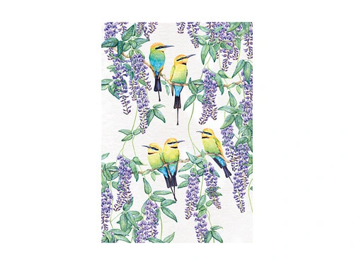 Royal Botanic Gardens Victoria Garden Friends Tea Towel 50x70cm Rainbow Bee-eater 3 Royal Botanic Gardens Victoria Garden Friends Tea Towel 50x70cm Rainbow Bee-eater