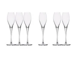 Sommelier Champagne Flute 225ML Set Of 6