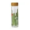 Royal Botanic Garden Arid Garden Glass Water Bottle 550ML Saguaro 2 Royal Botanic Garden Arid Garden Glass Water Bottle 550ML Saguaro -KITCHENWARE SHOP jv0001