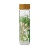 Royal Botanic Garden Arid Garden Glass Water Bottle 550ML Dracaena 2 Royal Botanic Garden Arid Garden Glass Water Bottle 550ML Dracaena -KITCHENWARE SHOP jv0003