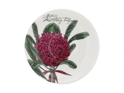 Royal Botanic Gardens Australian Botanics Breakfast Cup & Saucer 450ML Telopea Gift Boxed 5 Royal Botanic Gardens Australian Botanics Breakfast Cup & Saucer 450ML Telopea Gift Boxed - Image 3