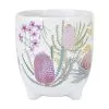 Royal Botanic Gardens Native Blooms Plant Pot 10cm -KITCHENWARE SHOP kp0027