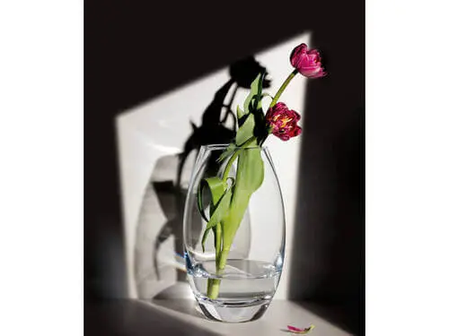 Elite Vase 30cm Gift Boxed 4 Elite Vase 30cm Gift Boxed - Image 2